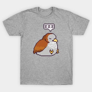 Sleepy Little Sparrow T-Shirt